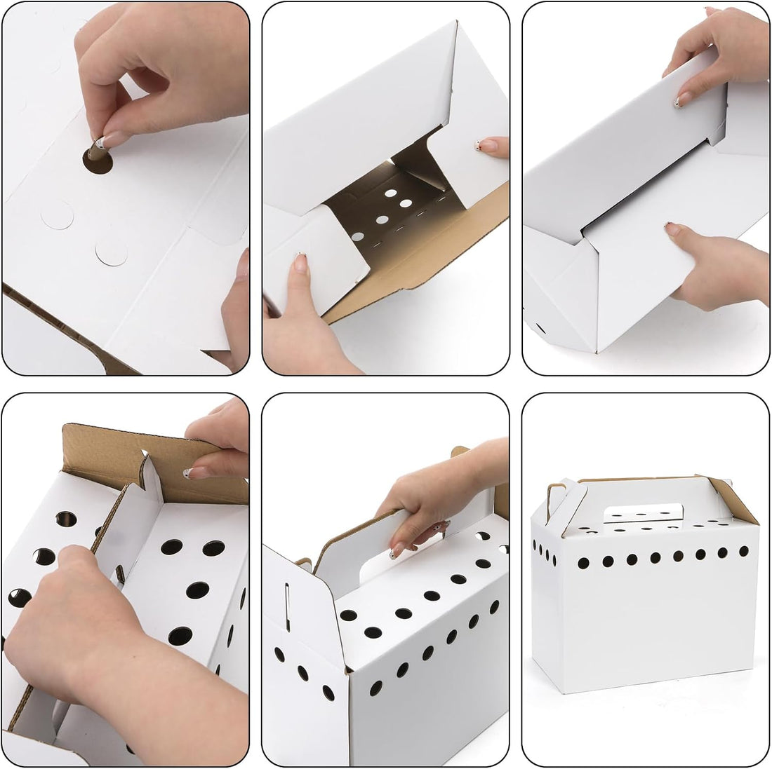 Coloch 20 Pack Cardboard Pet Carrier for Small Pets