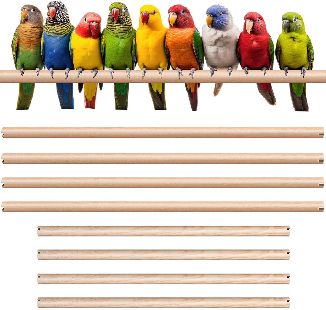 Sintuff Bird Perches Natural Wood Double Slots, 24 Inches, 4 Pcs