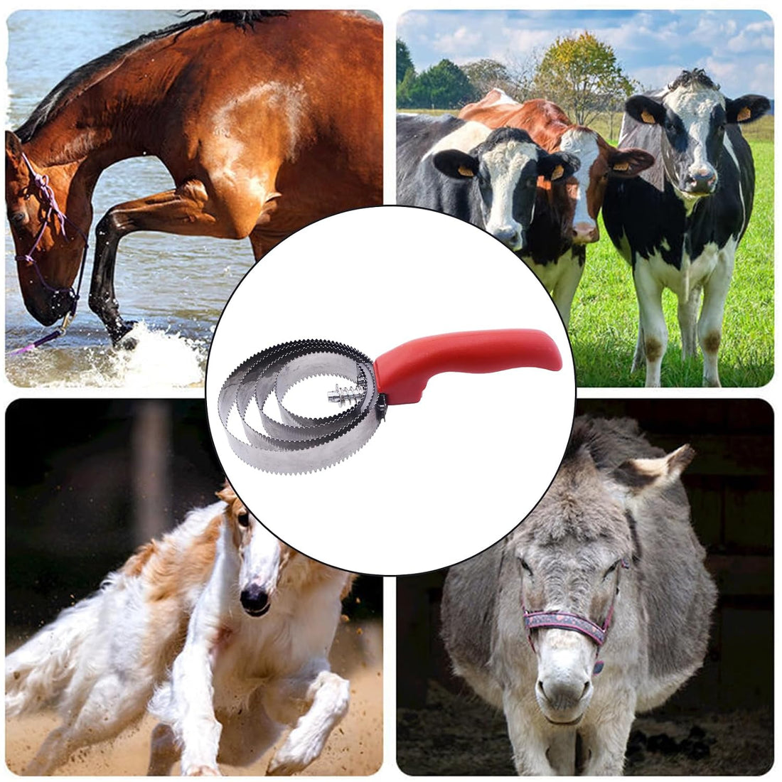 RUIAN Reversible Stainless Steel Curry Comb Soft Touch Grip Horse Comb