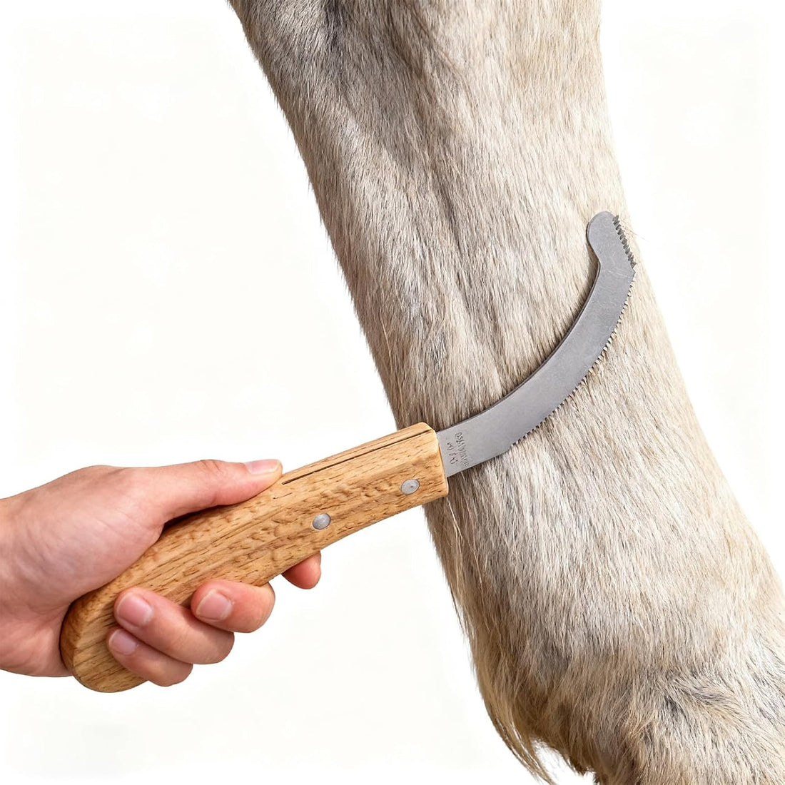 Bot Egg Knife for Horses, Precision Grooming for Bot Egg Removal