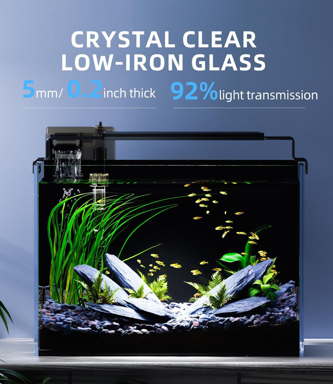 5 Gallon Fish Tank Aquarium Starter Kit with Filter Light Lid Rimless