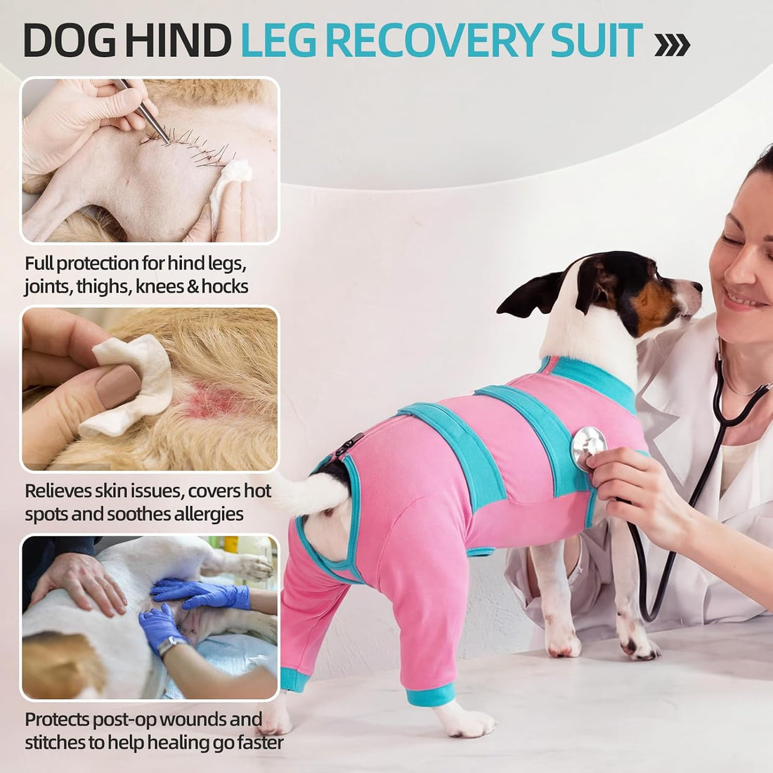 Lelepet Dog Surgery Recovery Suit for Rear Legs