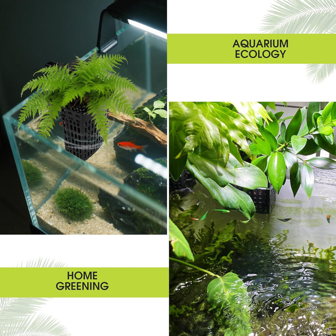 2 PCS Upgraded Aquarium Plant Holder