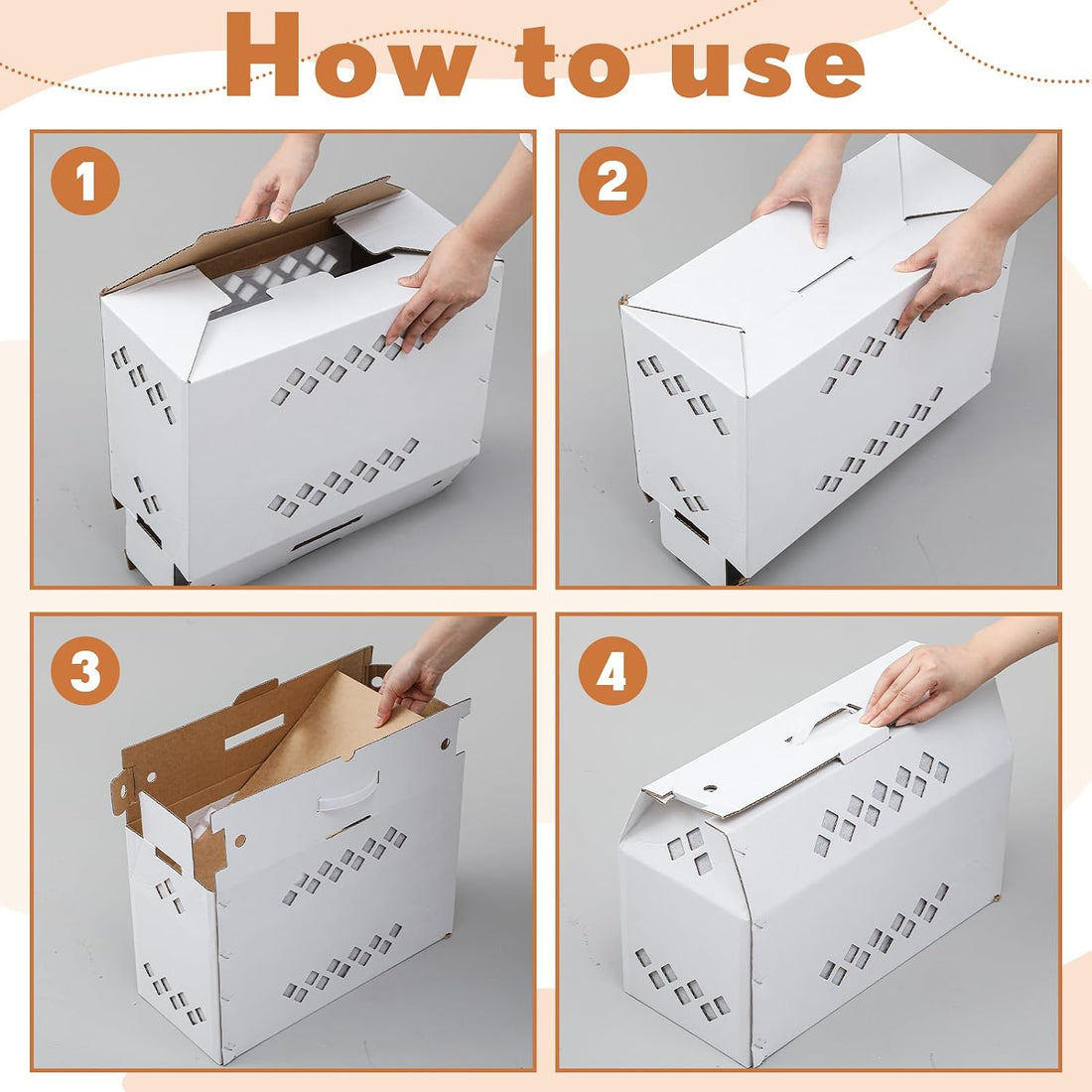YooNotee 6 Pack Single Live Chicken Shipping Box