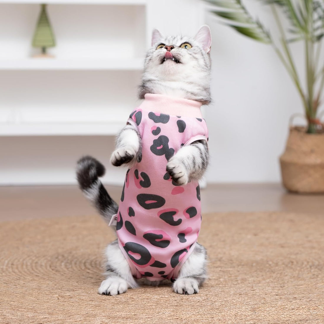 Cat Surgery Recovery Suit, Kitten Onesie for Spay Abdominal Wound