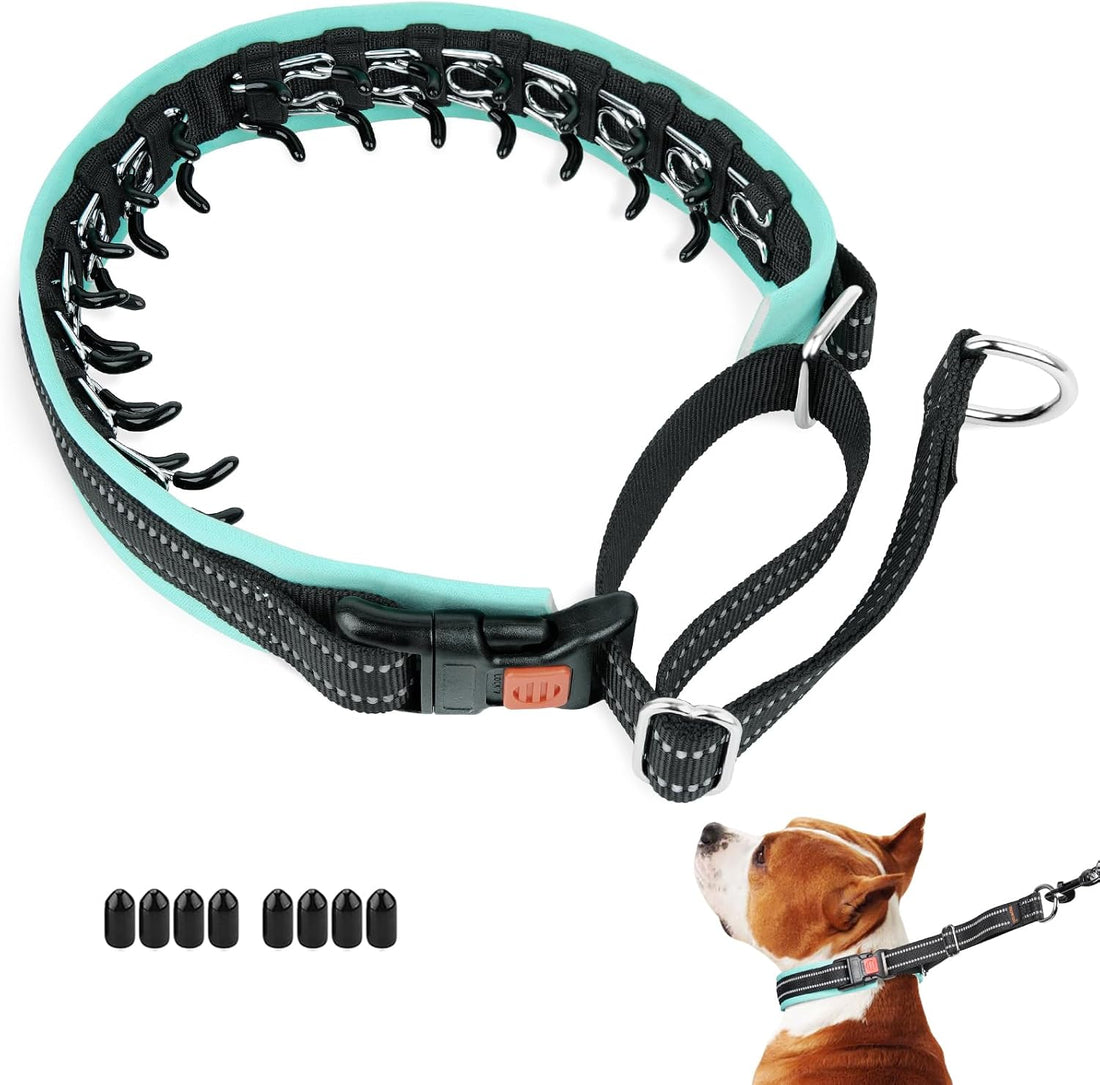 Mayerzon Martingale Dog Collar No Pull, Black, M