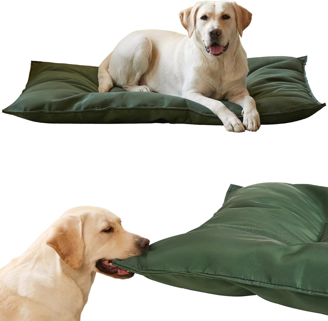 Chew Proof Indestructible Dog Bed,Medium (22"x35")