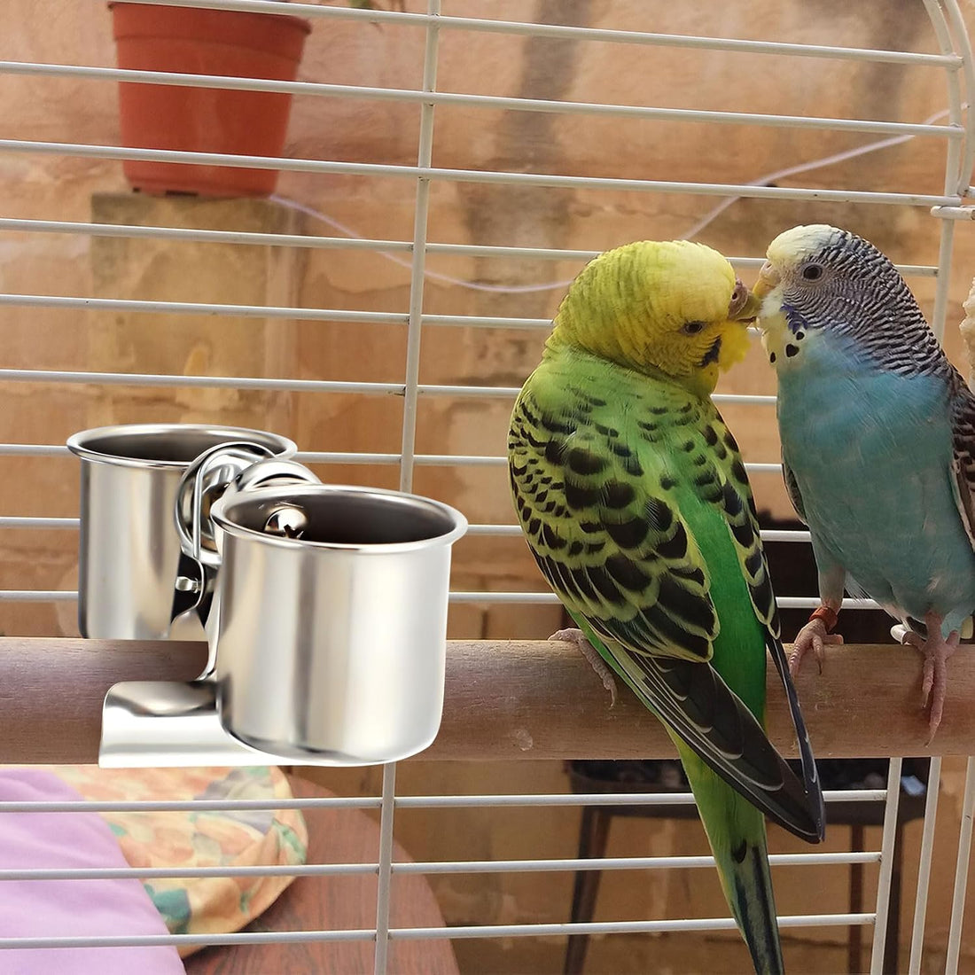Tioncy 2 Pcs Stainless Steel Bird Bowls