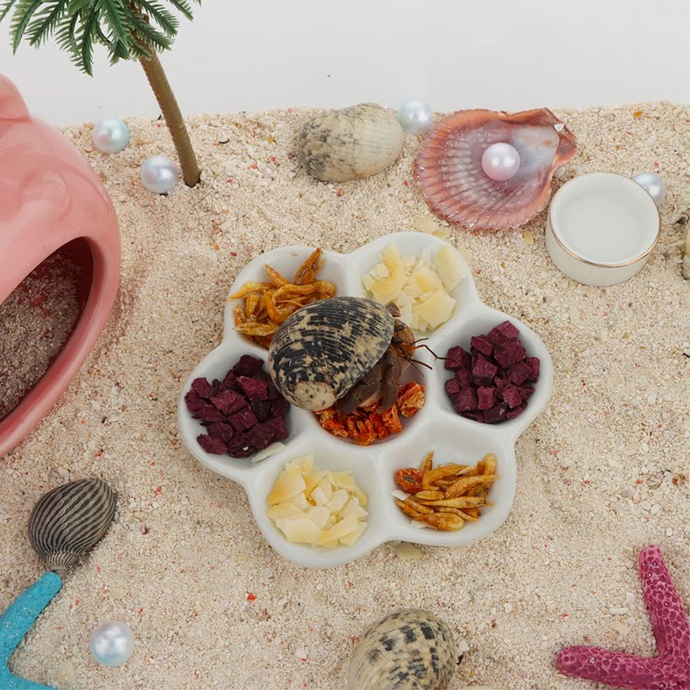 DQITJ 2 Pcs Hermit Crab Ceramic Food Dish