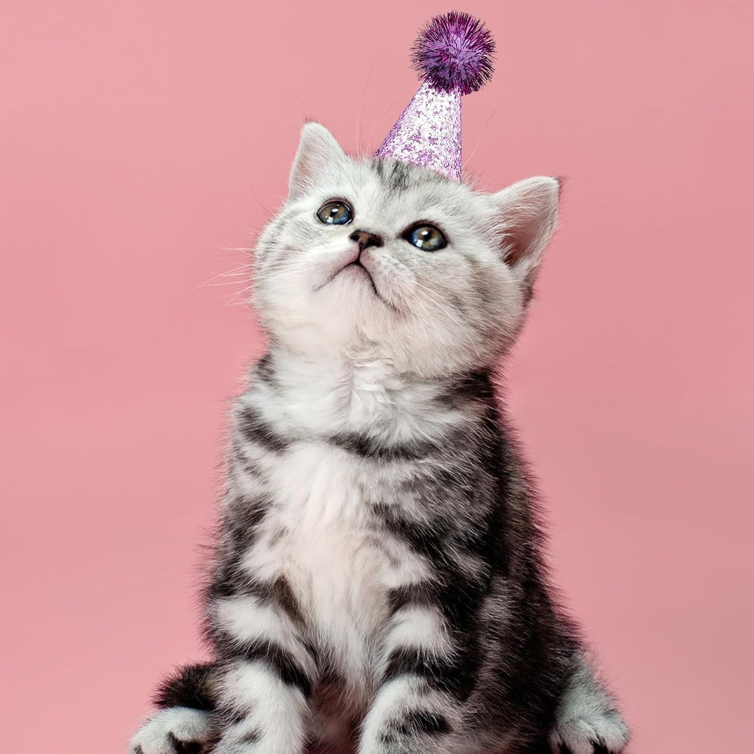 PET SHOW 10pcs Mini Small Dog Hats Cat Birthday Party Hat Rabbit Hats