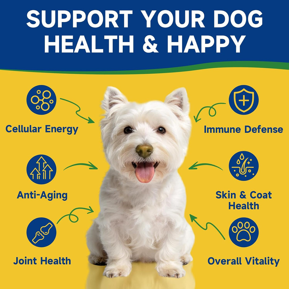 NAD+ Longevity Supplement for Senior Dogs, Vitality, Cognitive Health