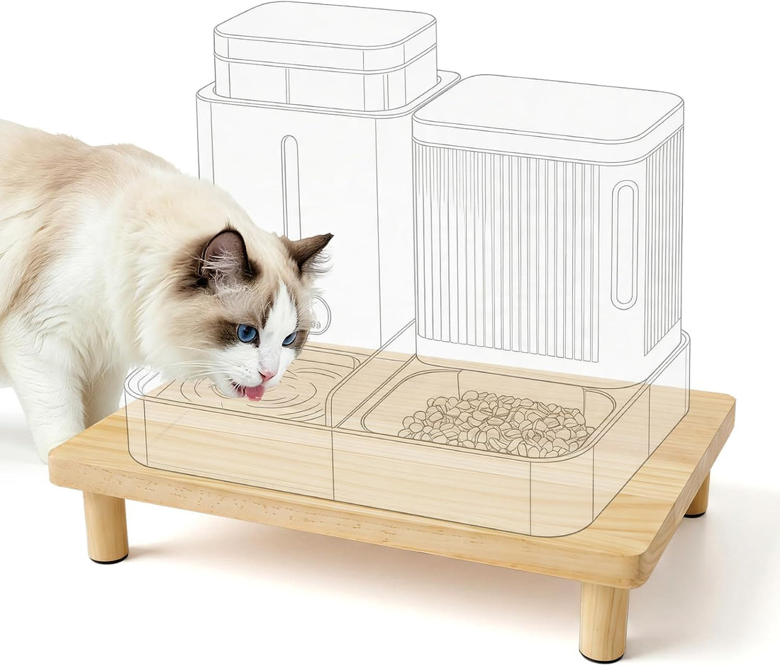 Cat Food Stand, Riser for Automatic Feeder & Water Bowl