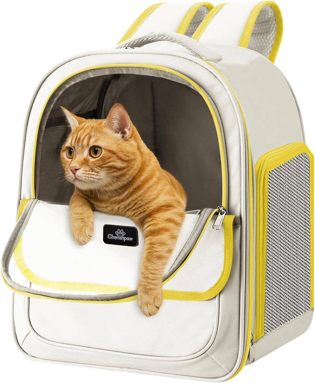 Cat Carrier Backpack Breathable Mesh Window for Small Cat Dog Under