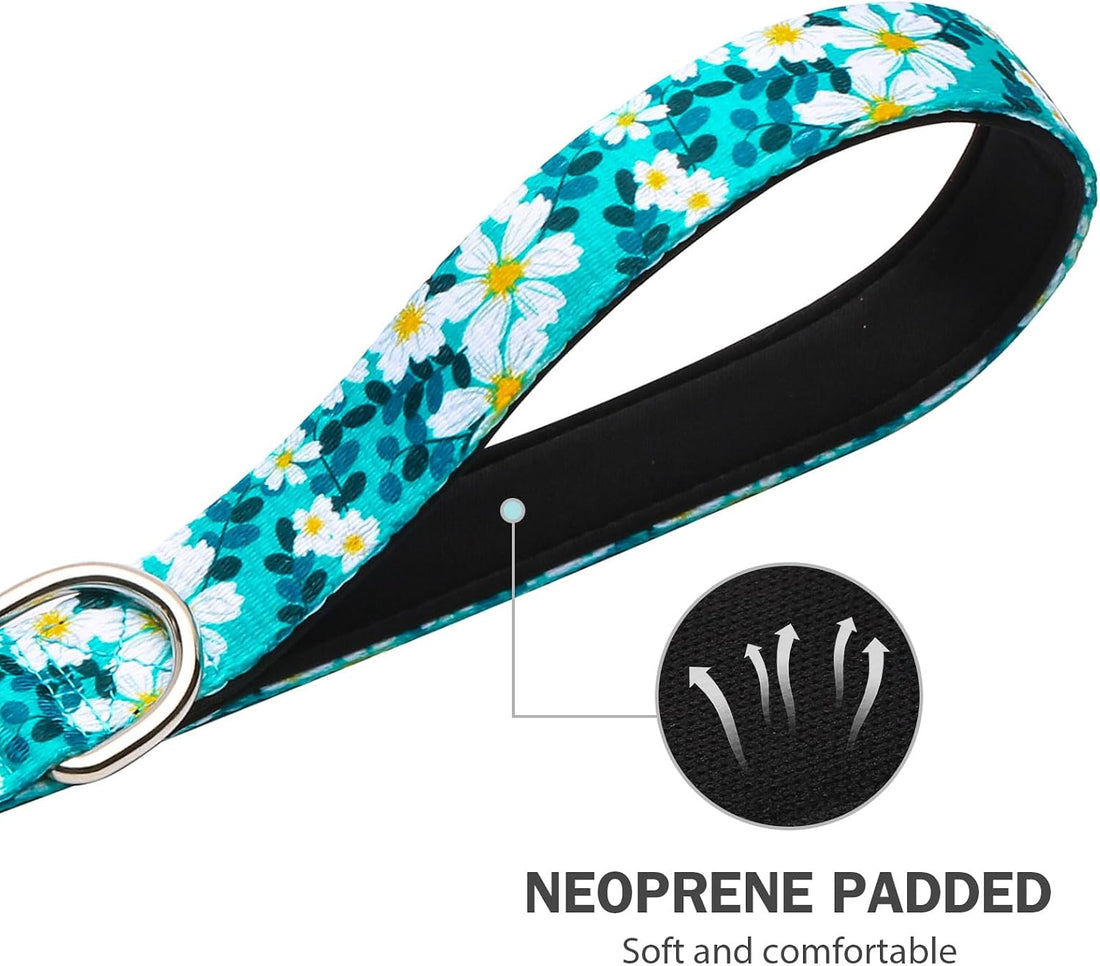 Hikiko 6FT Dog Leash Padded Double Handle with Designed Pattern
