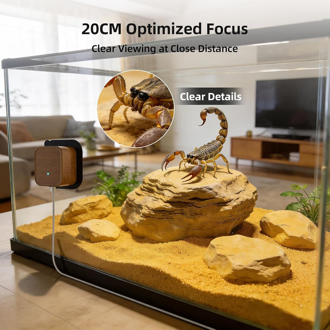 5MP Aquarium & Terrarium & Fish Tank Camera