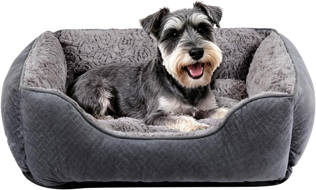 Dog Bed for Small Dogs Washable, Super Soft Durable Cat Bed