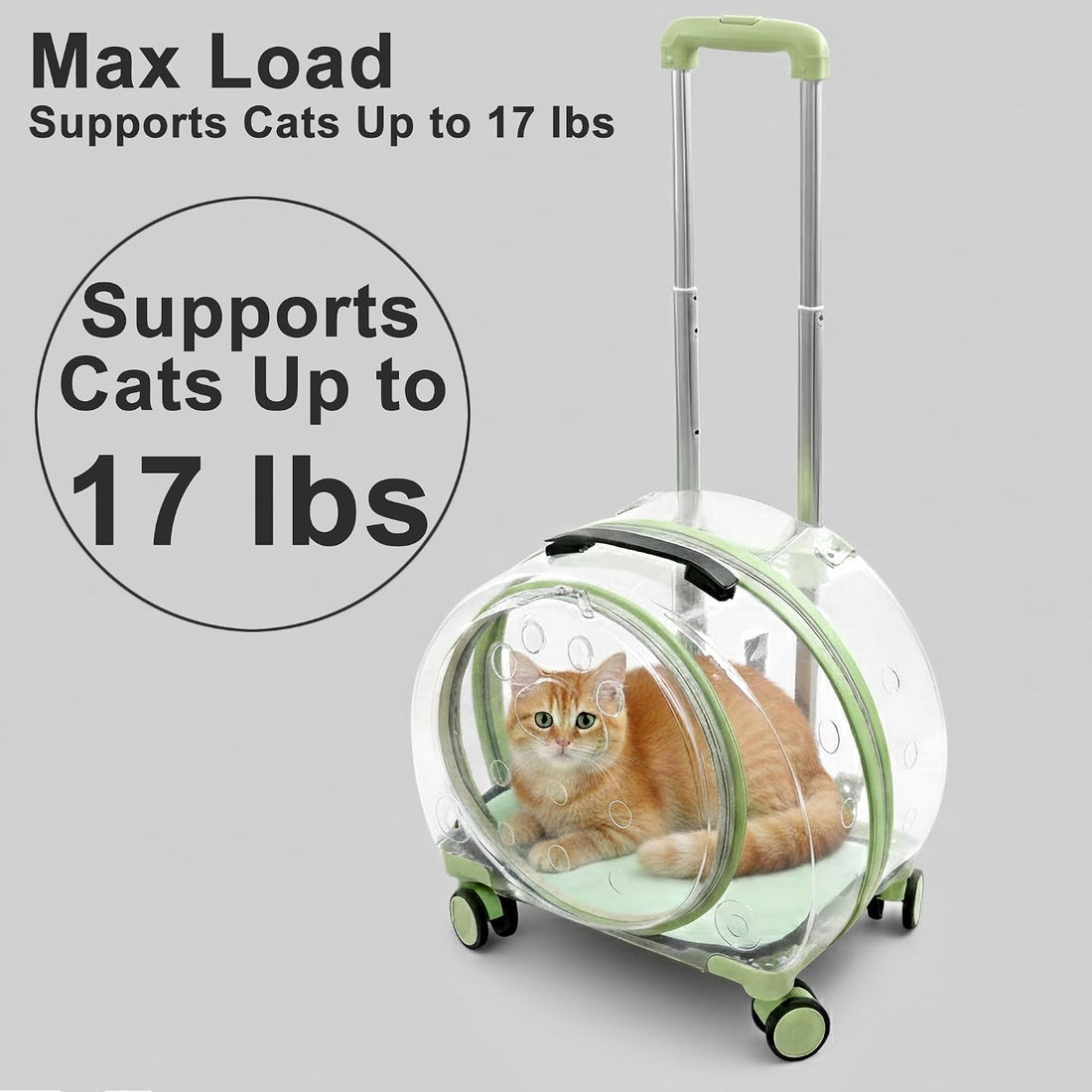 Transparent Hard Shell Cat Carrier with Wheels