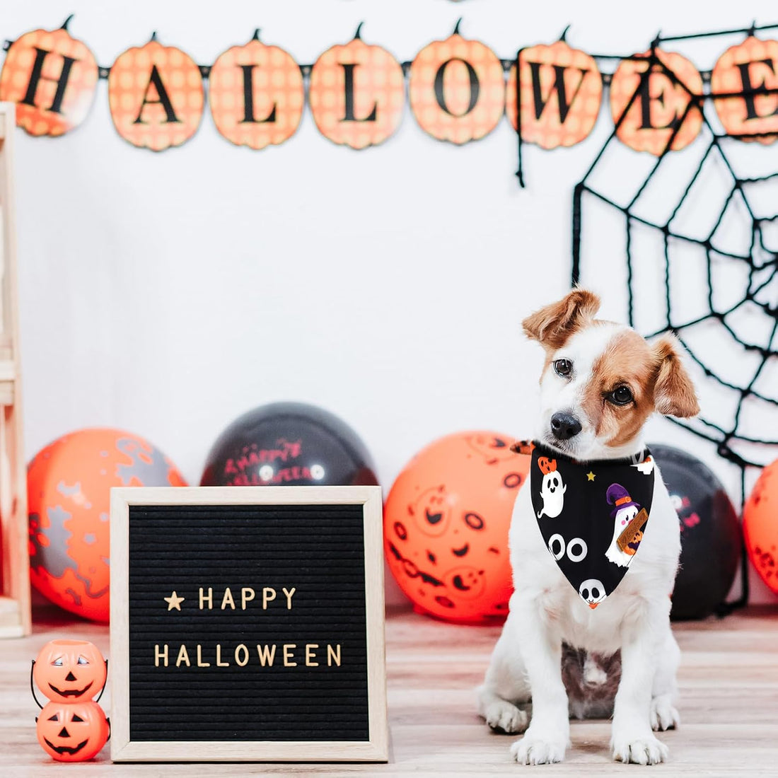 2 Pieces Halloween Dog Bandanas