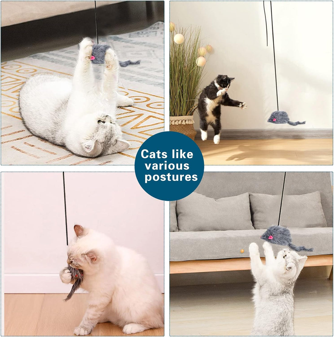 Kalimdor Interactive Cat Feather Toys,Retractable Teaser Toy ，Hanging