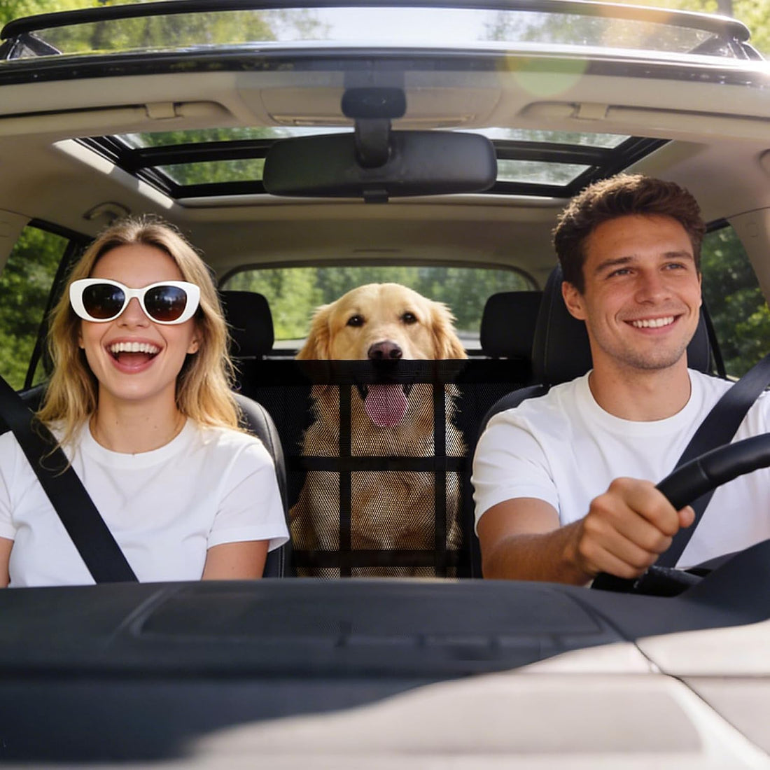 Dog Car Barrier,9-Grid Reinforced,Easy-Install Car Net for Dogs