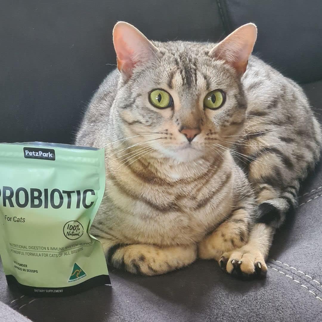 Petz Park Cat Probiotic Powder for Digestive Health
