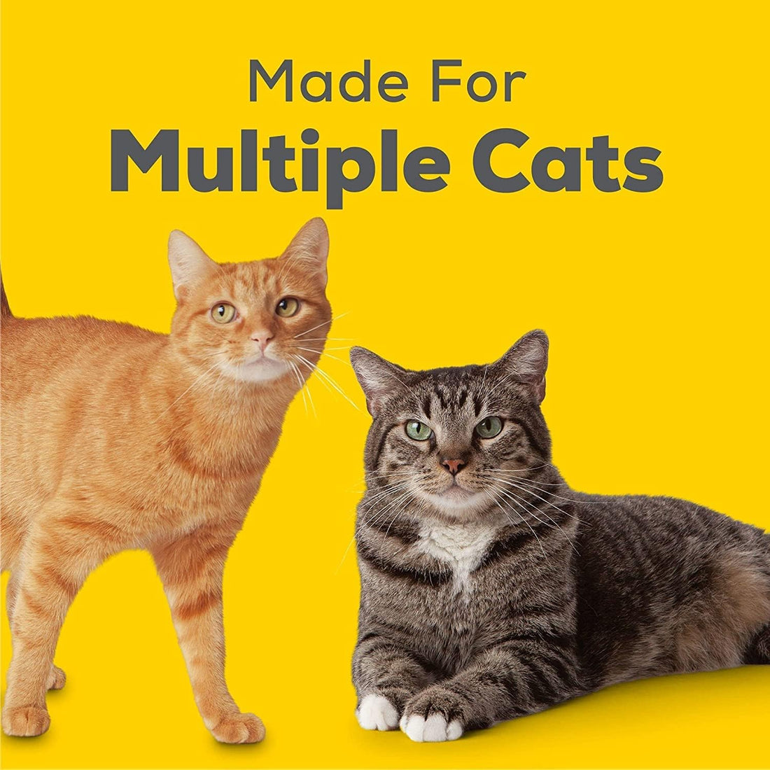 Cat Breeze Enhanced Cat Litter Pellets - Active Clean Scent