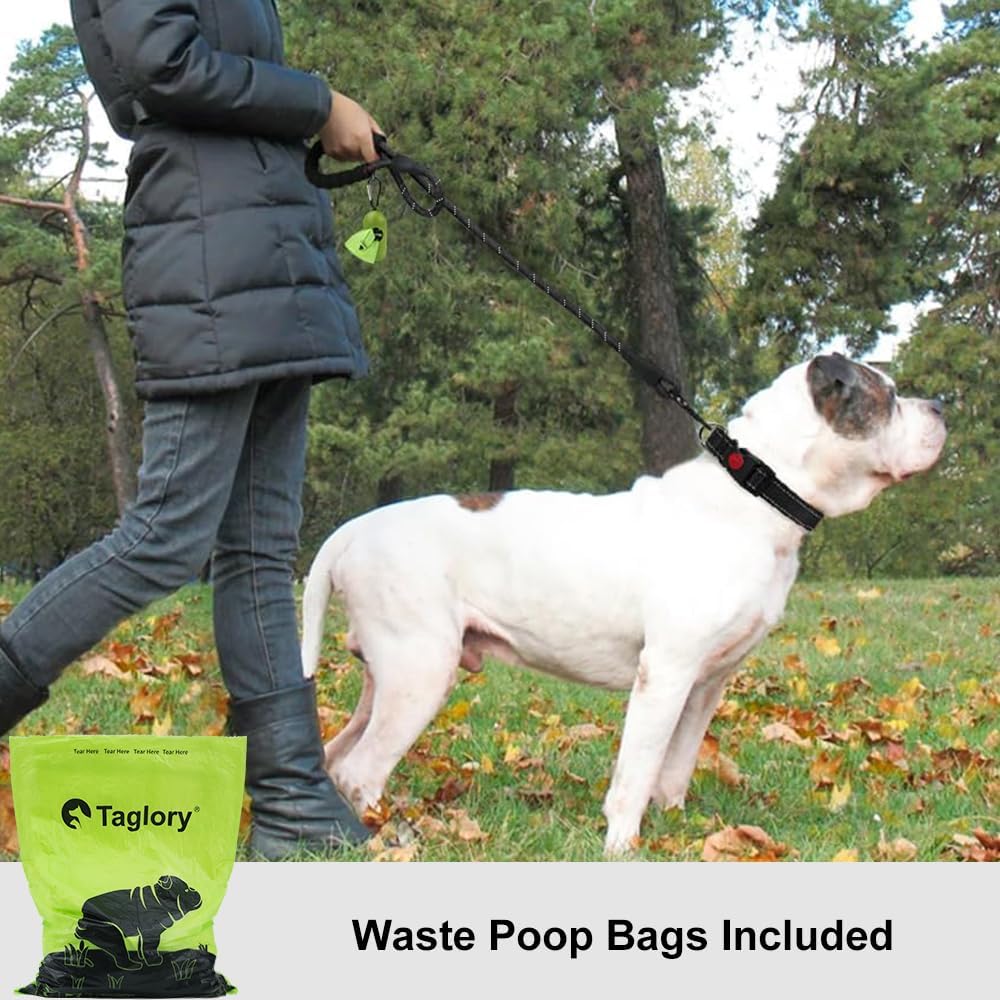 Taglory Rope Dog Leash 6 FT with Comfortable Padded Handle