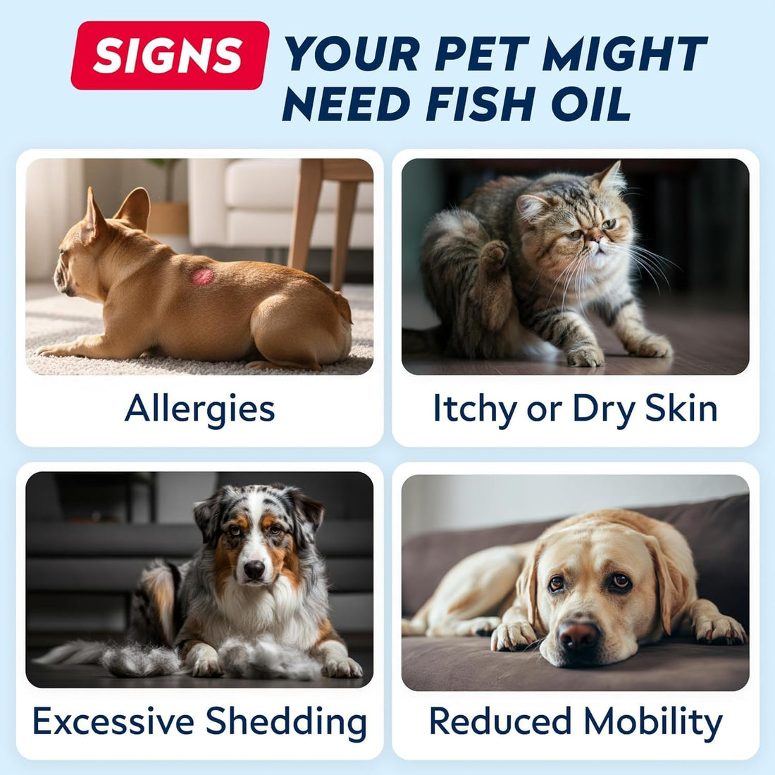 StrellaLab 32 OZ Salmon Oil for Dogs - Omega 3 for Dogs & Cats