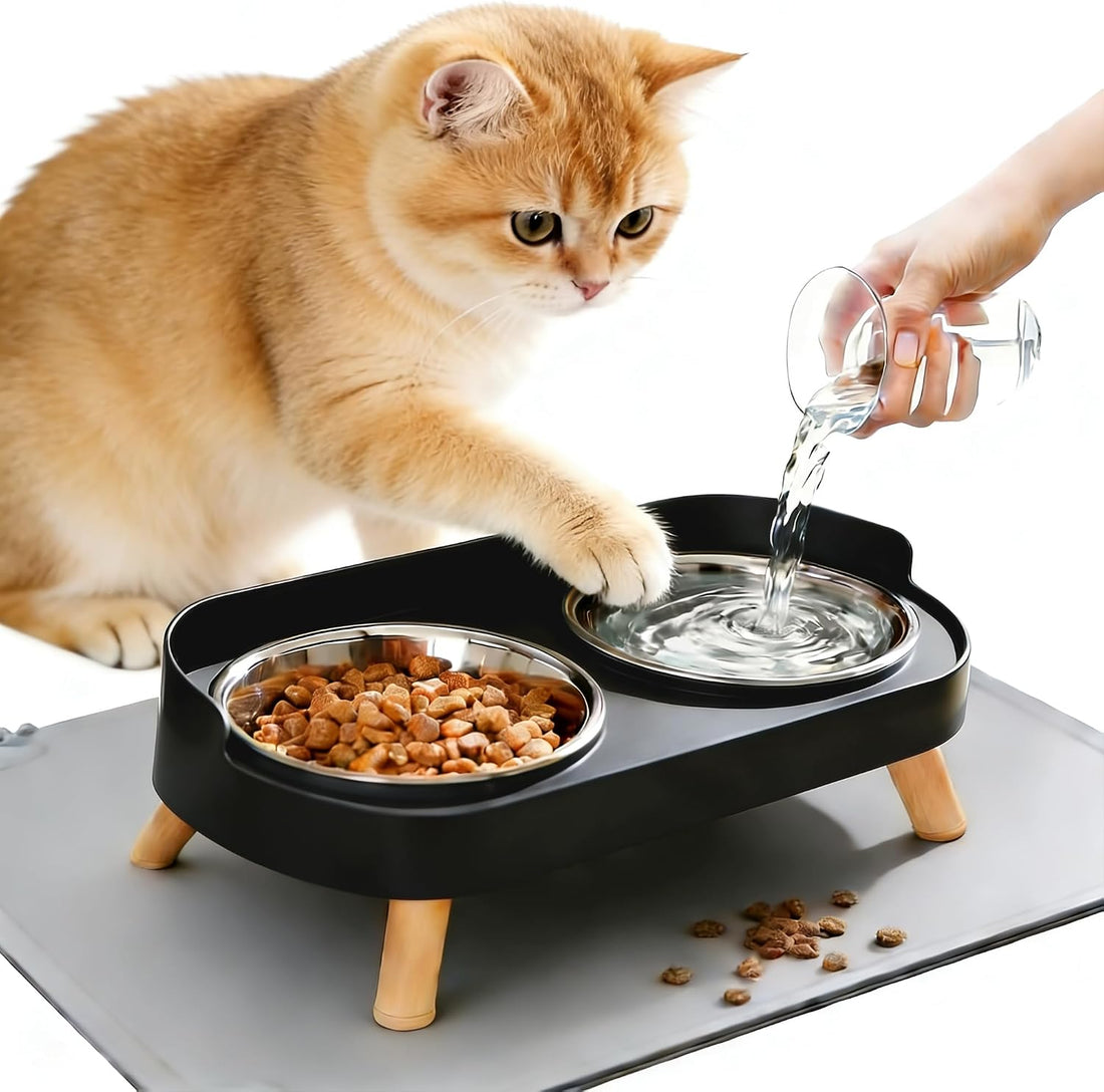 Elevated Cat Bowls, Raised Cats Food and Water Bowl Set for Indoor