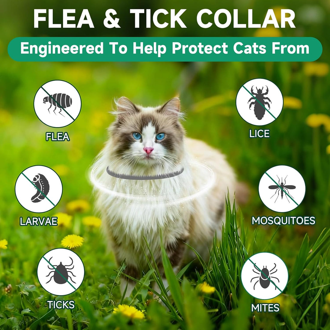 4 Pack Flea Collar for Cats, 32 Months Flea and Tick Prevention
