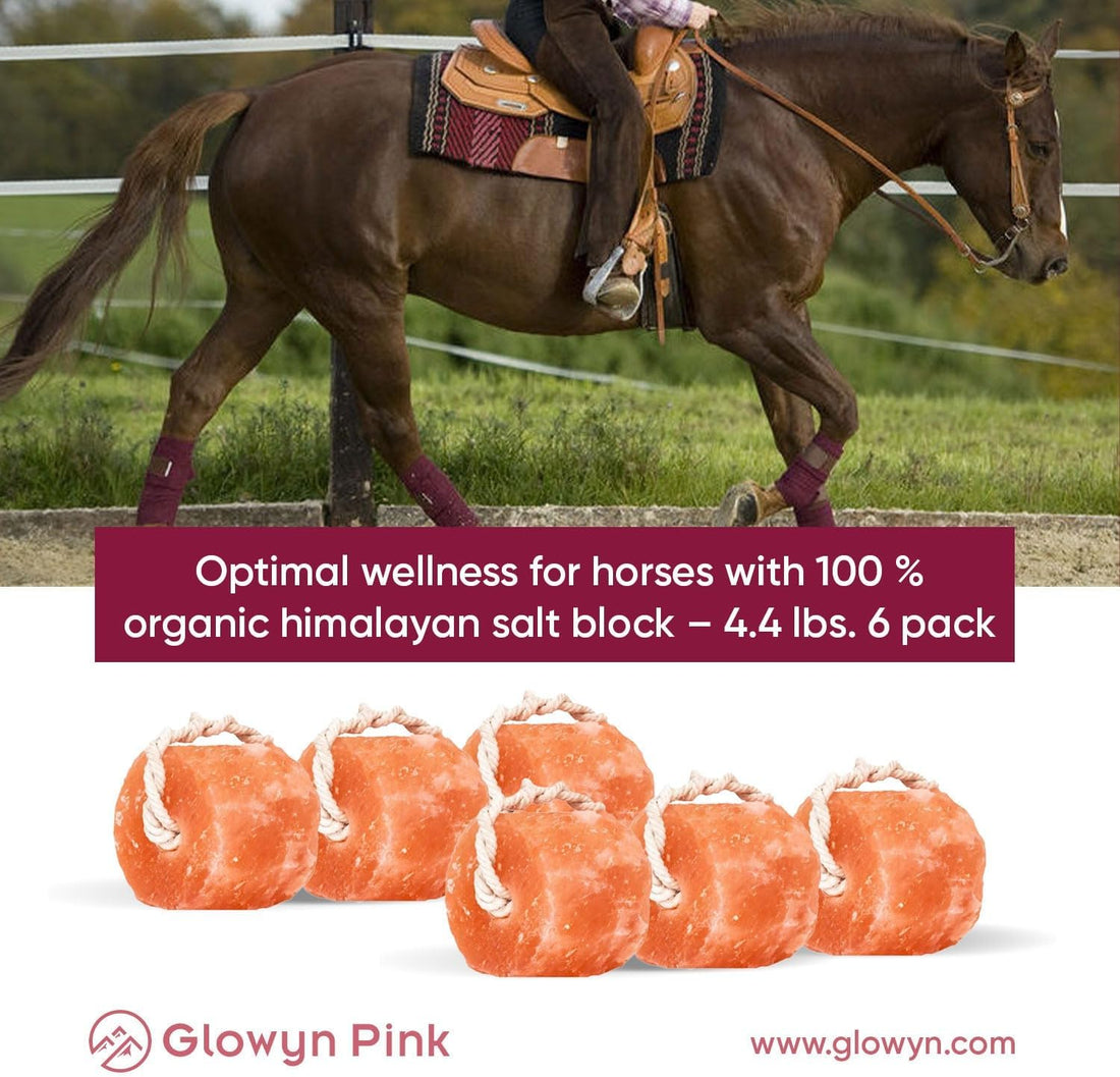 Glowyn Himalayan Salt Lick-Natural Minerals Block on Rope - 4.0 lbs.