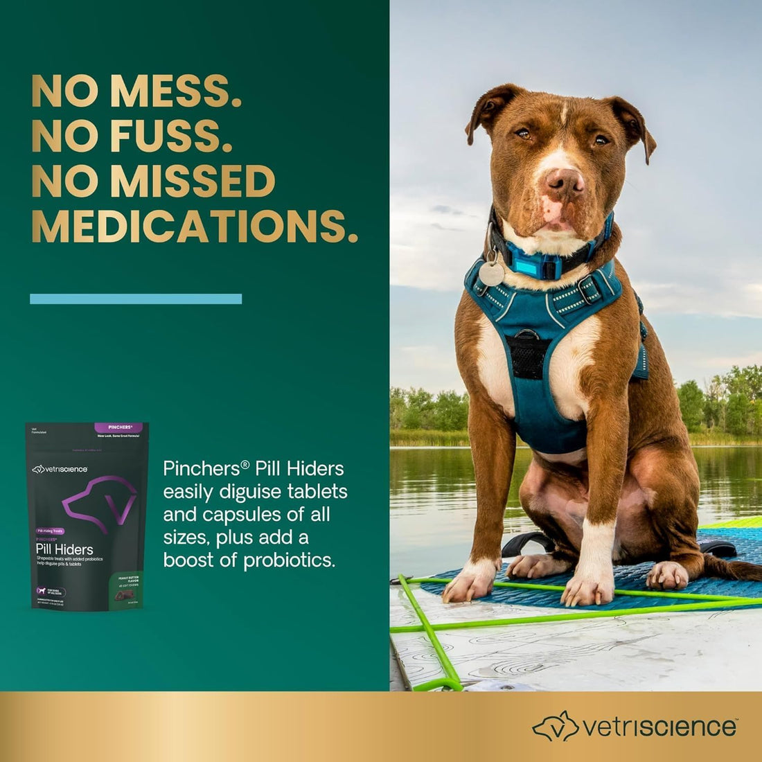 VetriScience Pinchers Pill Hiders for Dogs, Peanut Butter, 45 Count