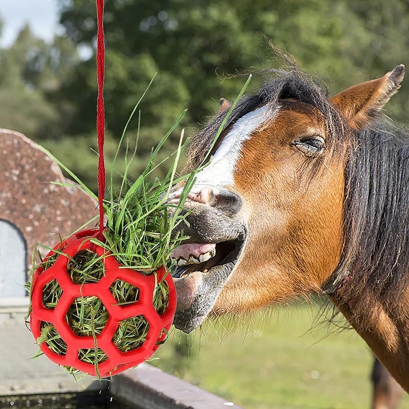 Horse Treat Ball,Goat Feeder Hanging Feeding Toy Horse Treat Hay