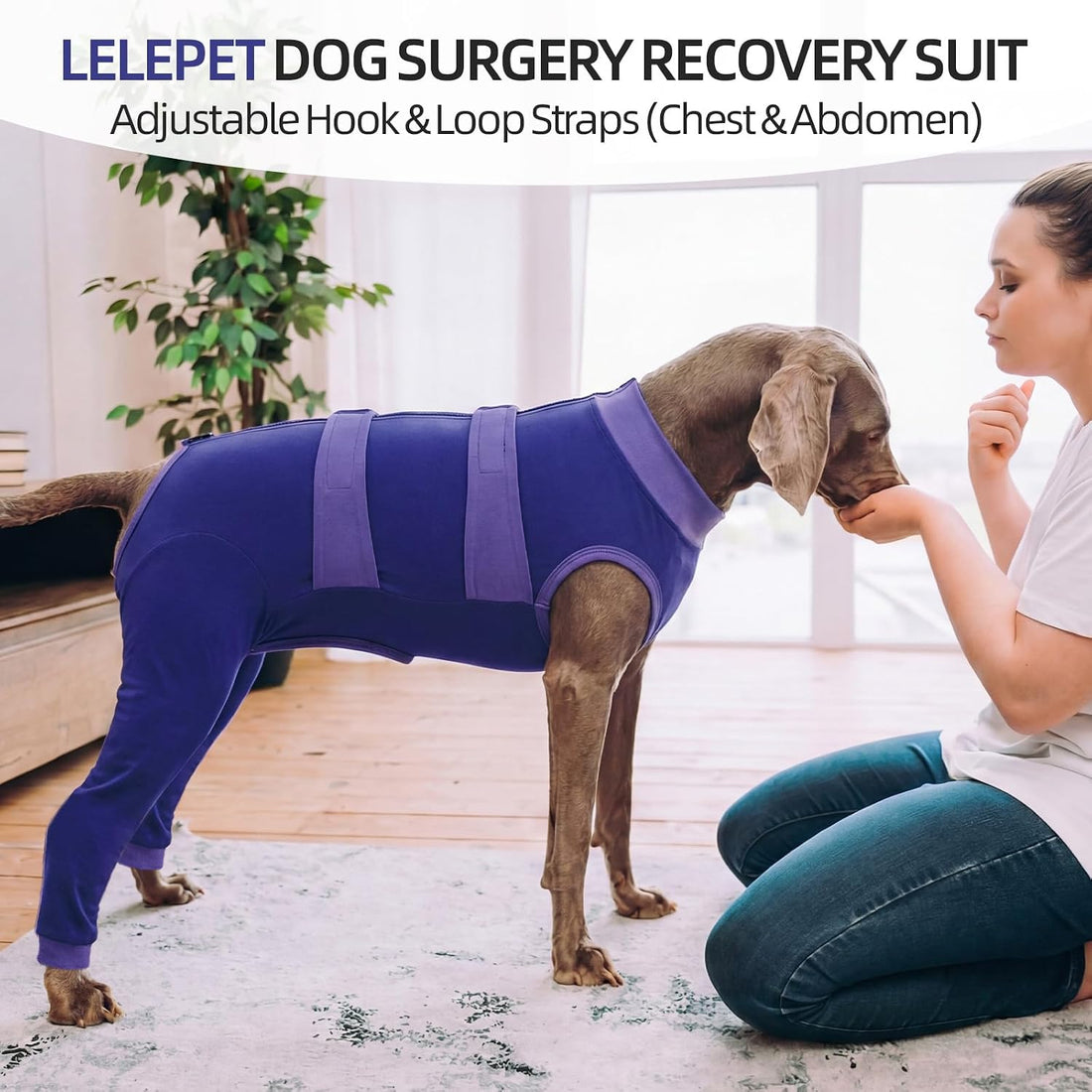 Lelepet Dog Surgery Recovery Suit, Pants for Dogs