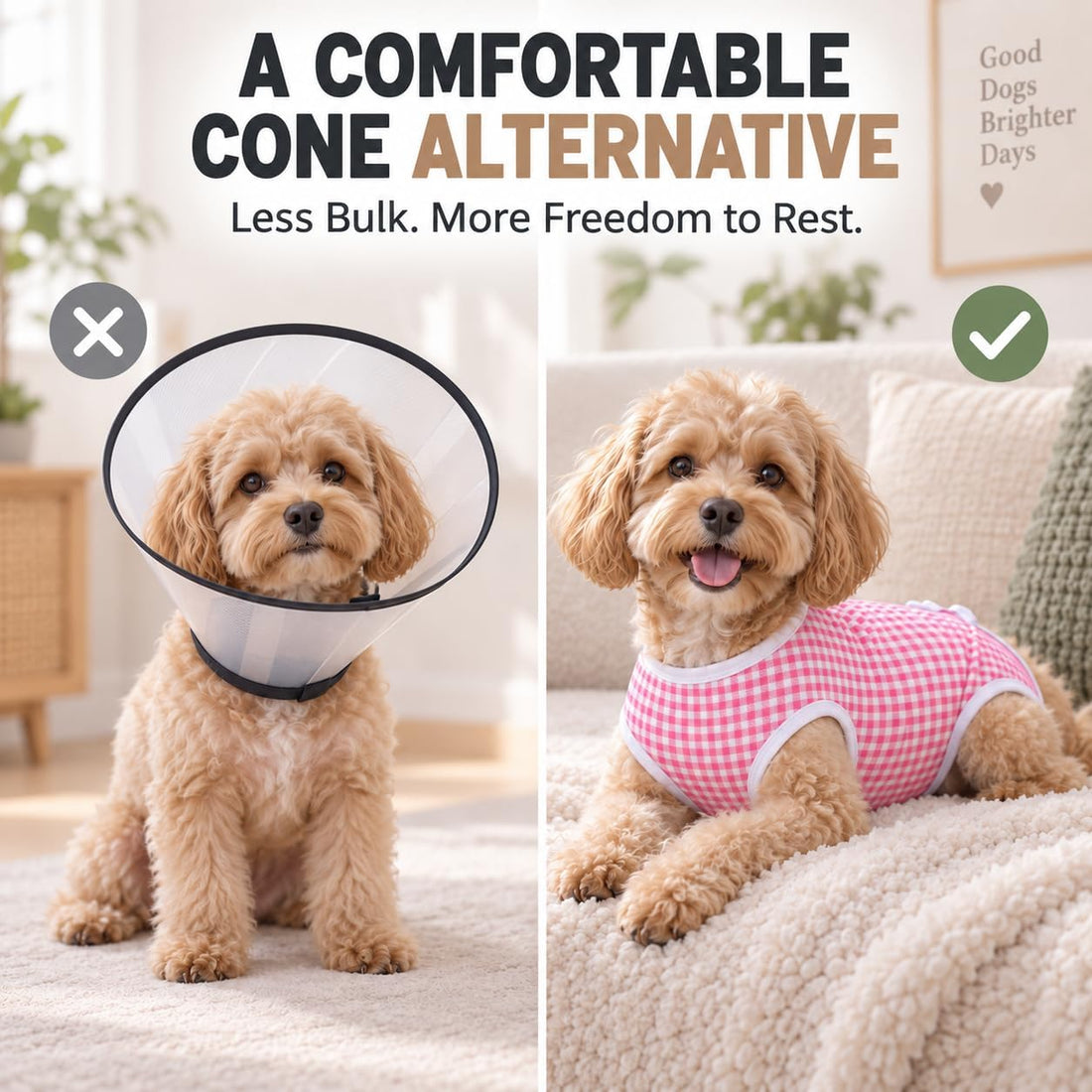 Kuoser Recovery Suit for Dogs After Surgery, E-Collar Alternative
