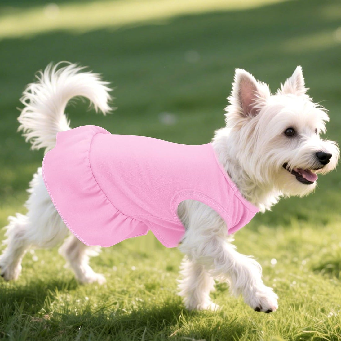 2 Pcs Dog Dress Cute Cat Skirt Solid Color Summer Clothes for Small