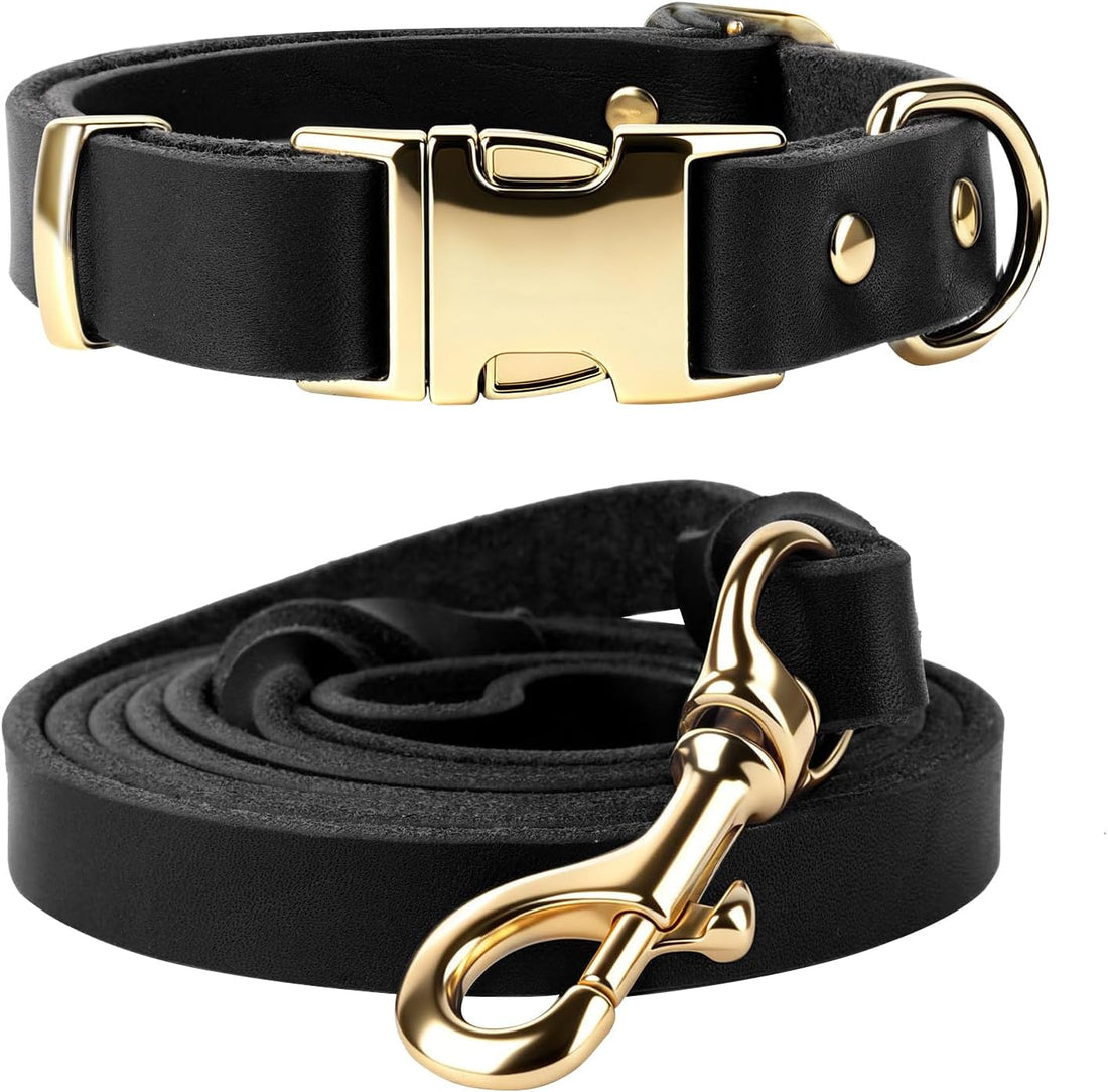 Leather Dog Collar and Leash Set