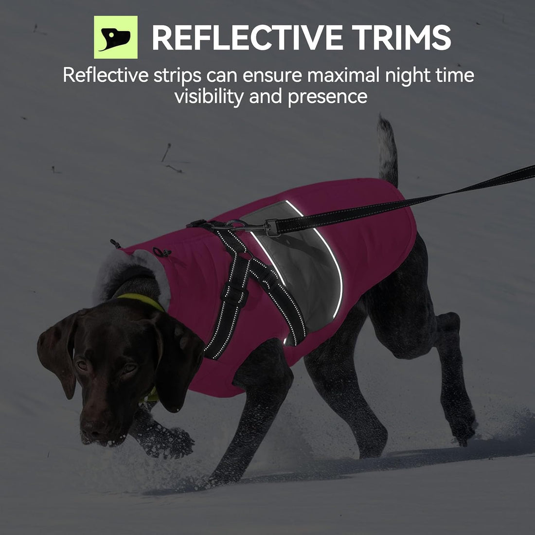 Warm Dog Coat with Harness Built in Dog Jacket for Small Dogs