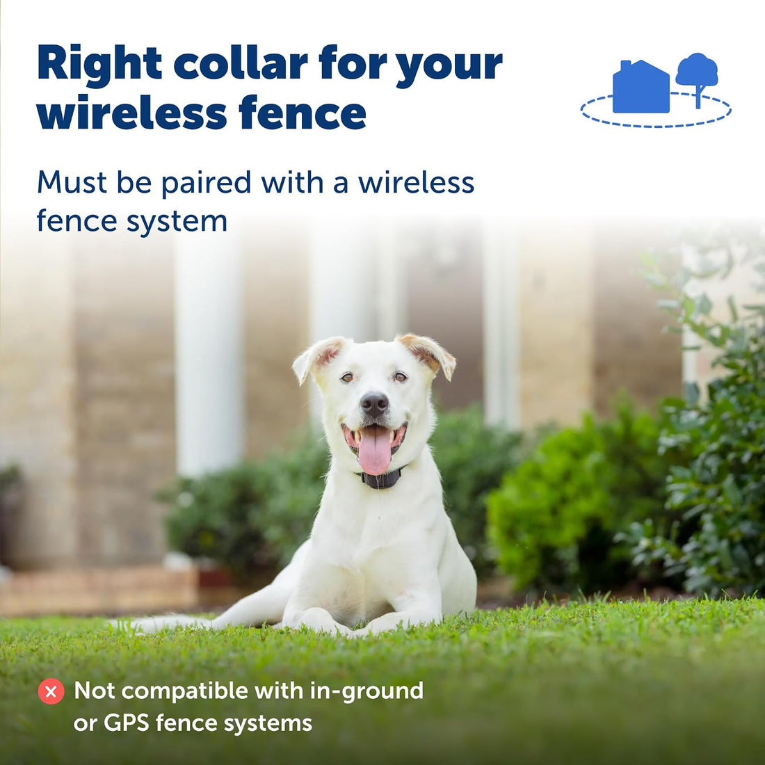 PetSafe Stay & Play Wireless Pet Fence with Replaceable Battery