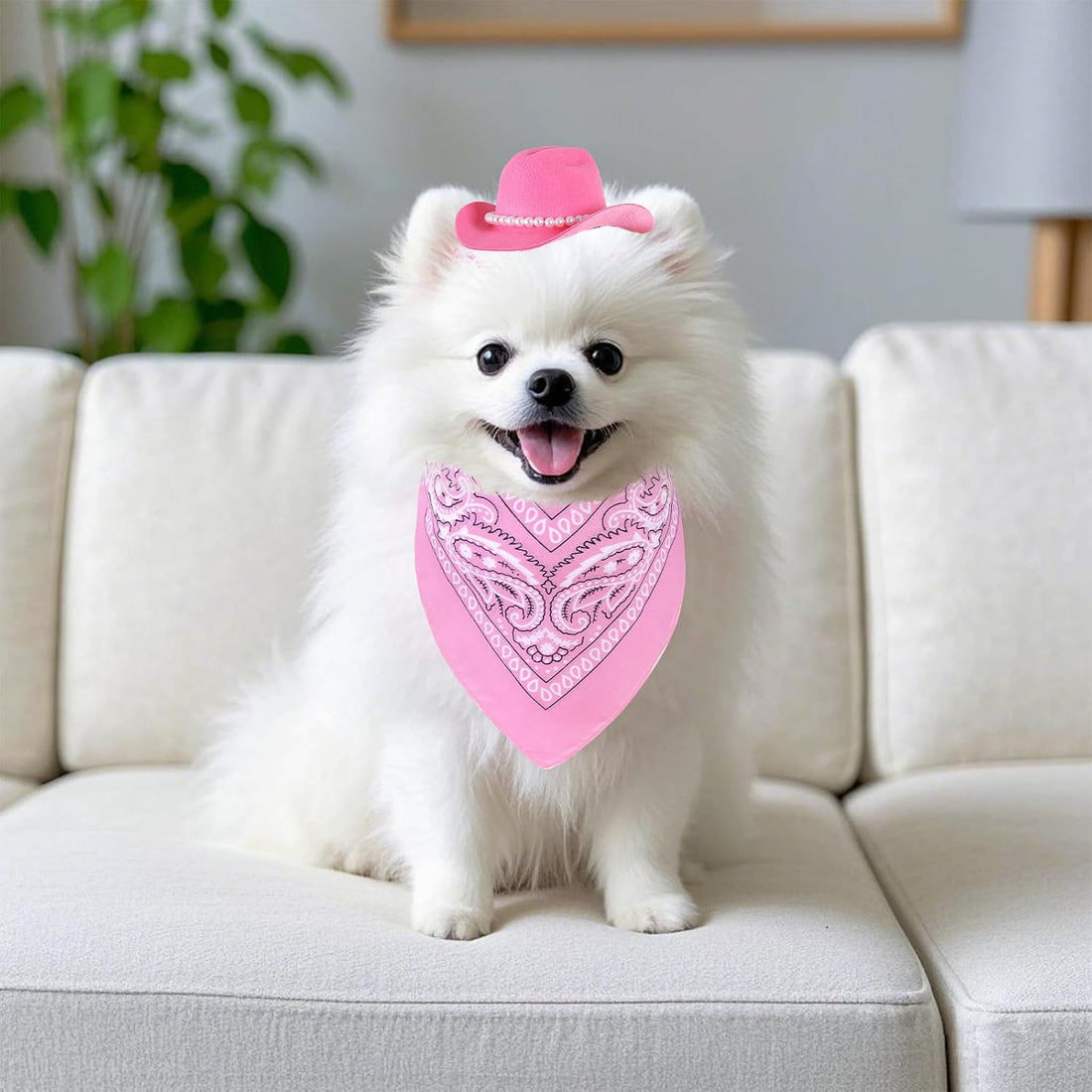 Pet Cowboy Costume Accessories Halloween Costumes for Small Pet Dogs
