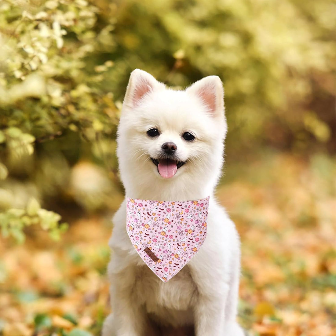 Halloween Pumpkin Dog Bandana