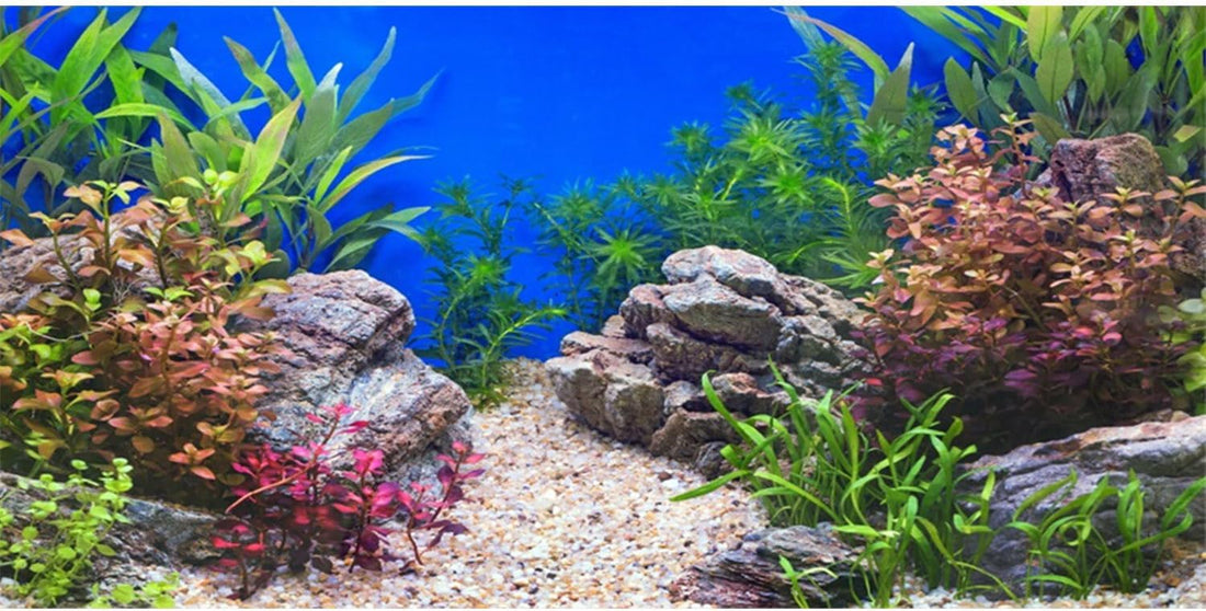 AWERT 30x18 in Aquatic Plant Fish Tank Background Stone Aquarium