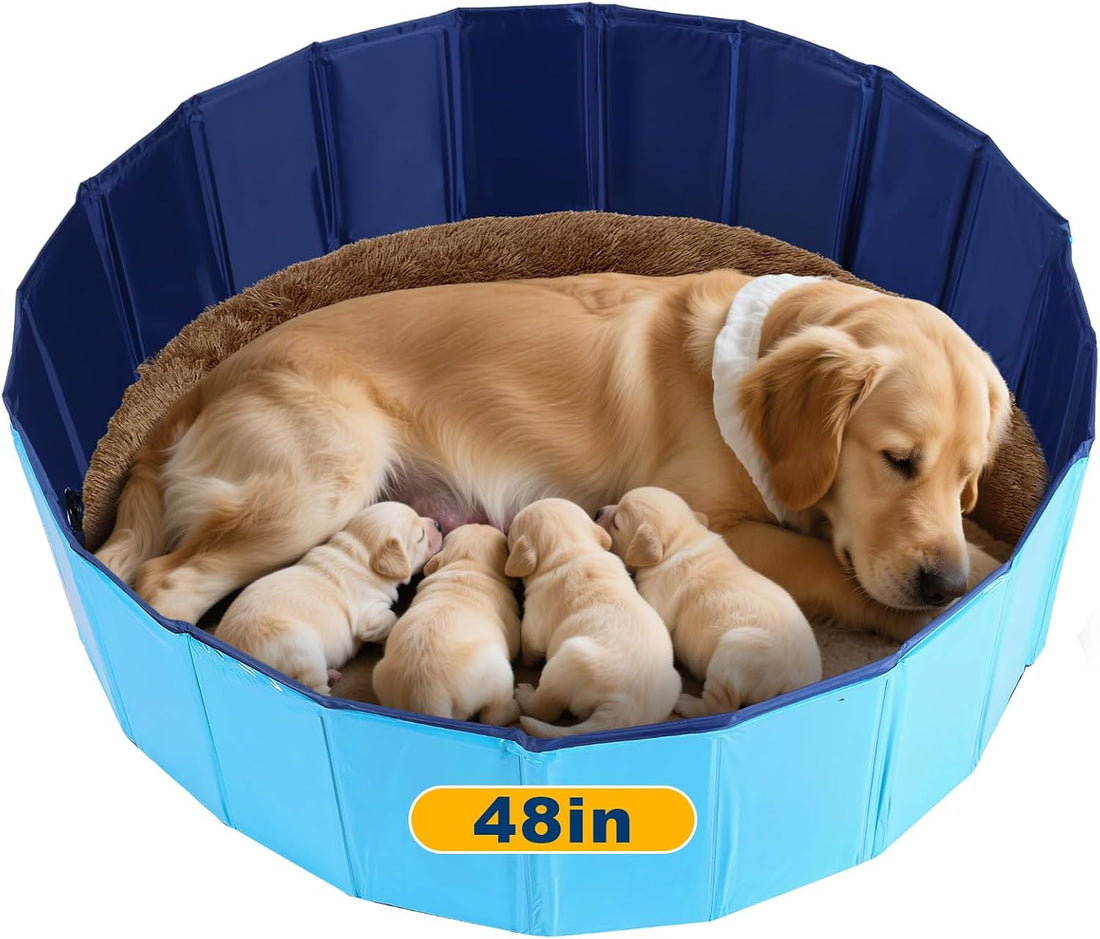 Whelping Pen for Dog, 31.5" D x 8" H Foldable Swimming Pool