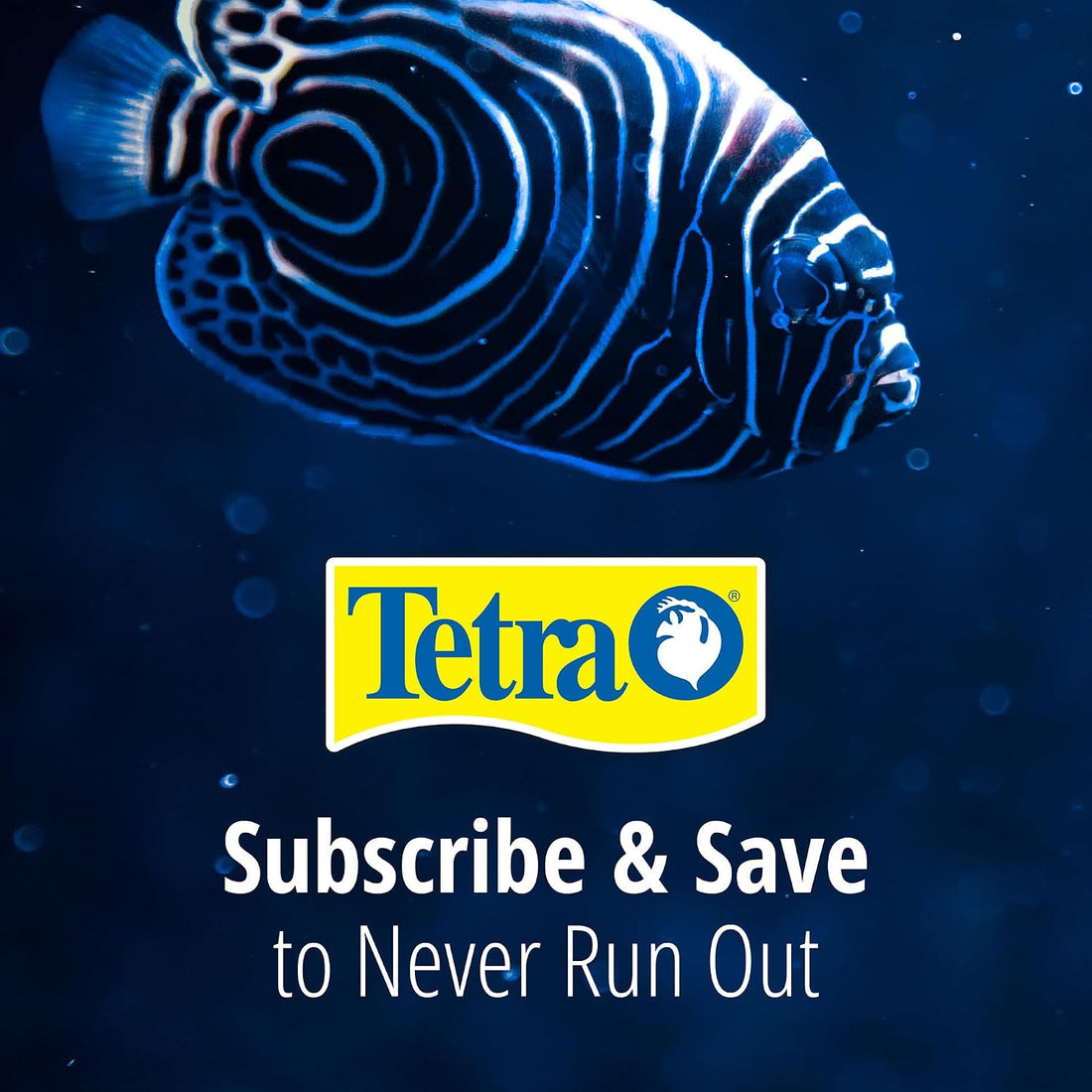 Tetra Whisper Small Filter Cartridges for Aquariums, 2 Count