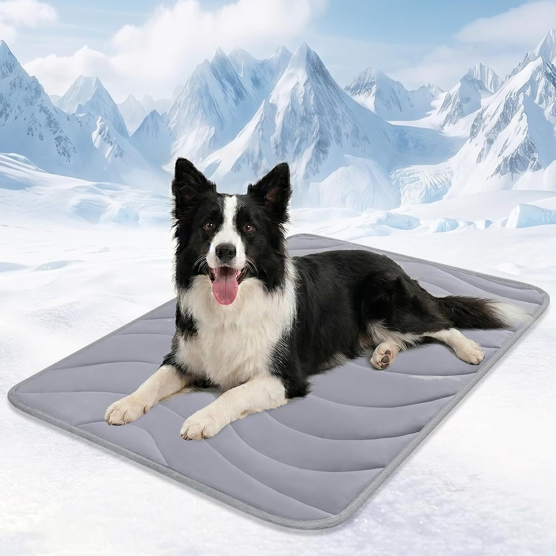 Cozyide Dog Cooling Mat, Q-Max>0.45, 40 L x 28" W, Blue