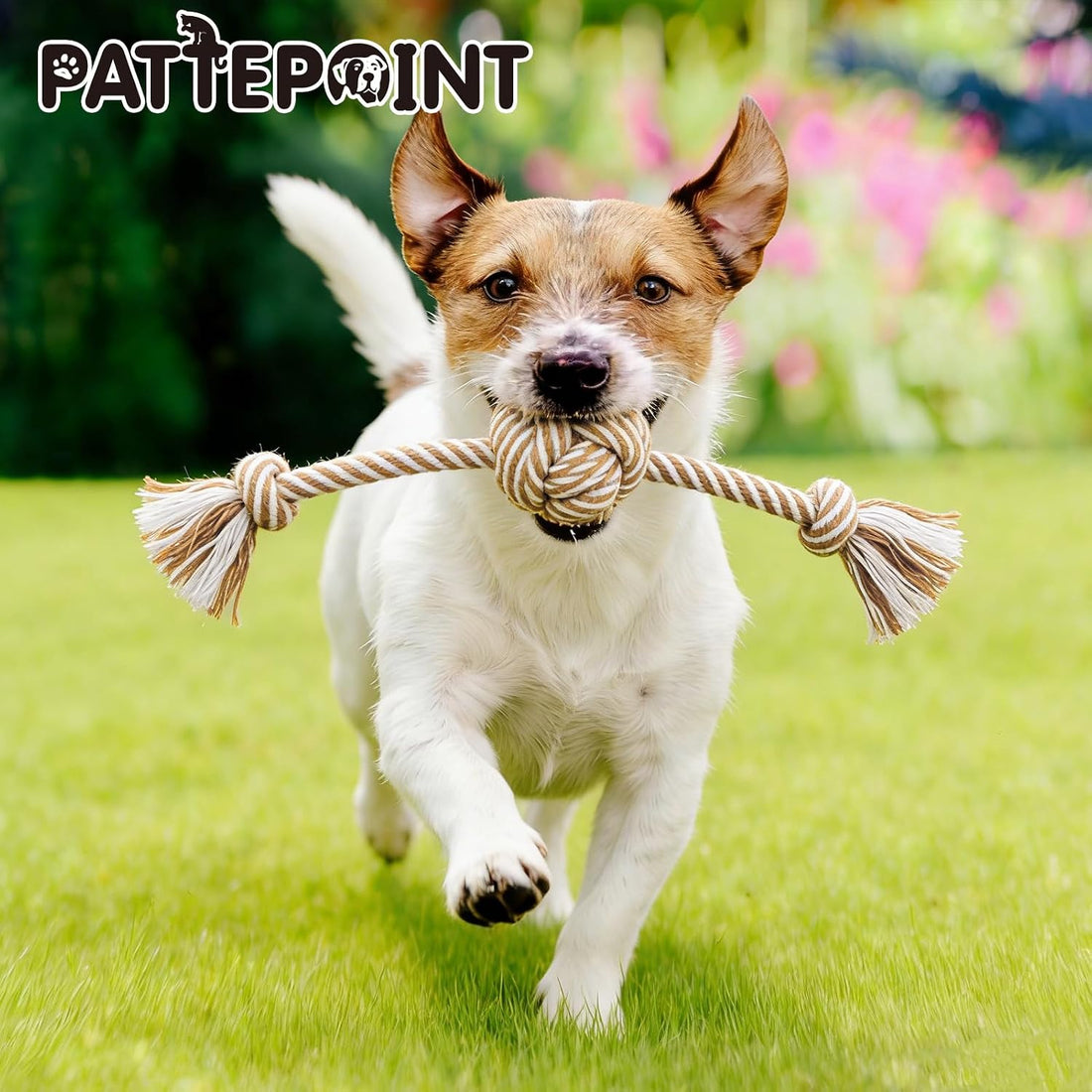 PATTEPOINT Dog Rope Toy for Small Dog 3pcs