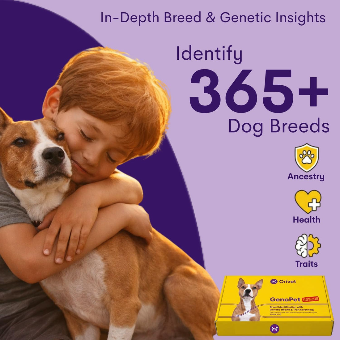 ORIVET GenoPet Dog DNA Test, 365+ Breeds, Health, Ancestry