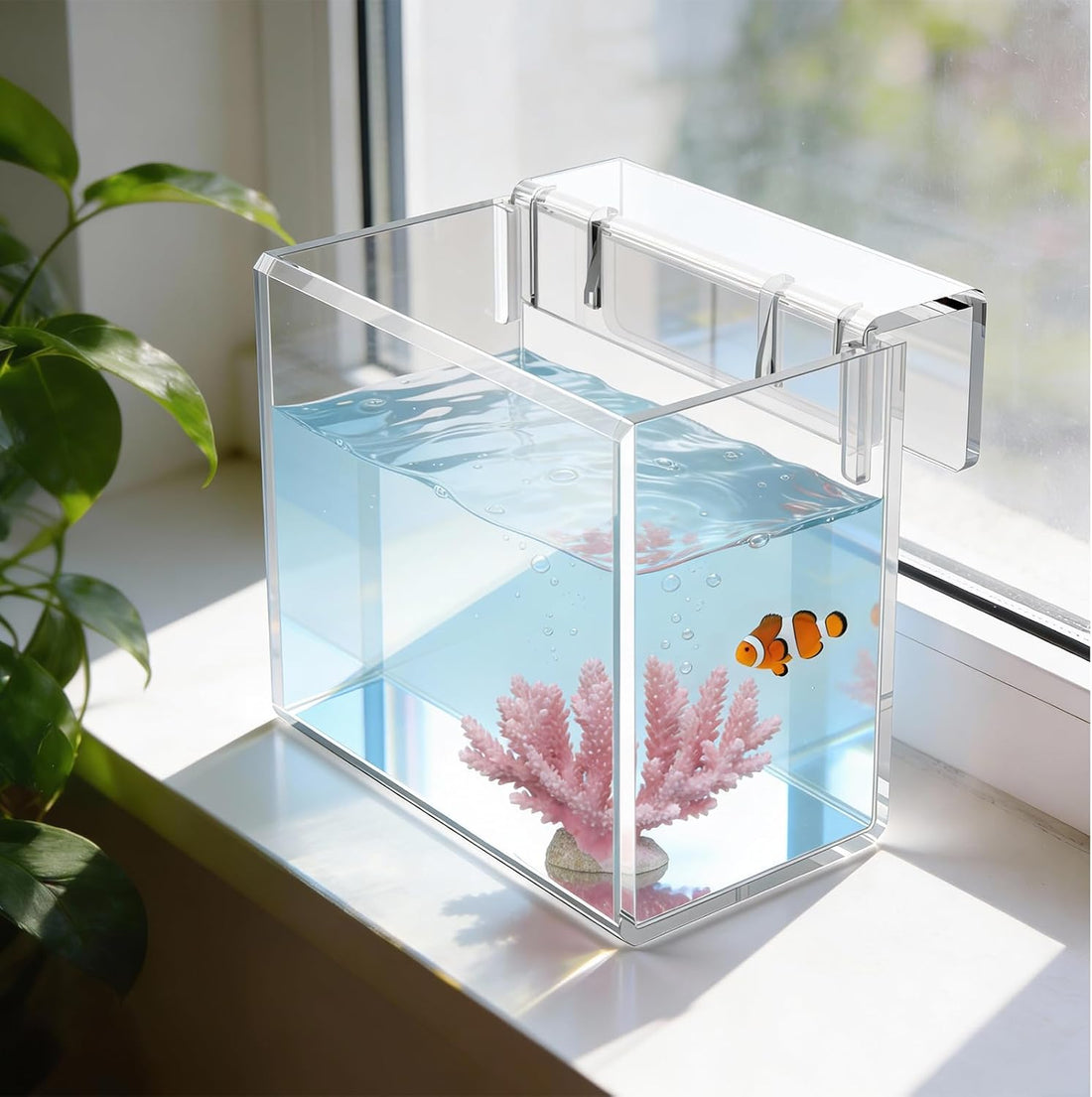Hatchery Incubator Tank for Fish & Corals, Drip Acclimation Container