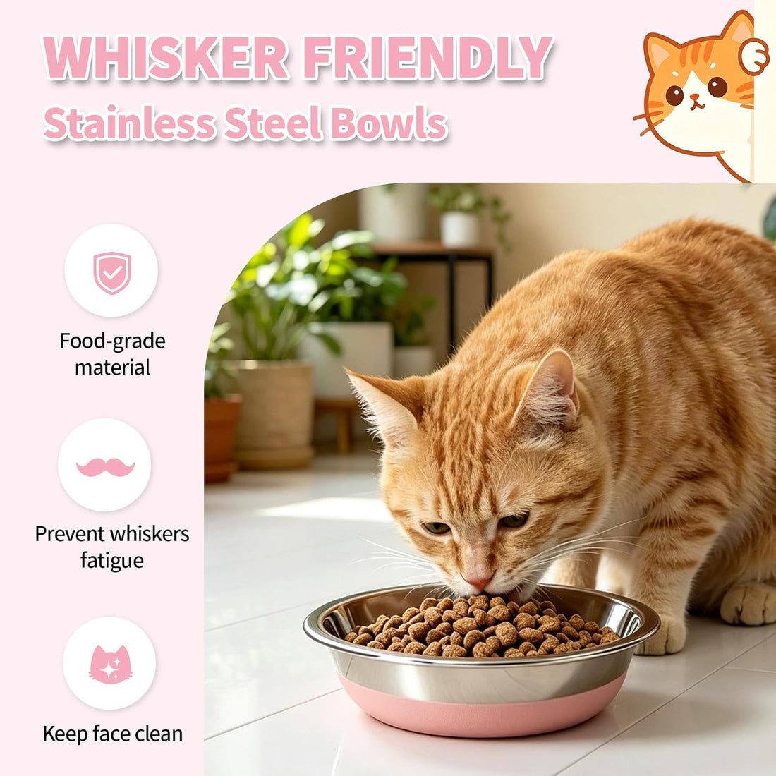 5 Pack Stainless Steel Cat Bowls