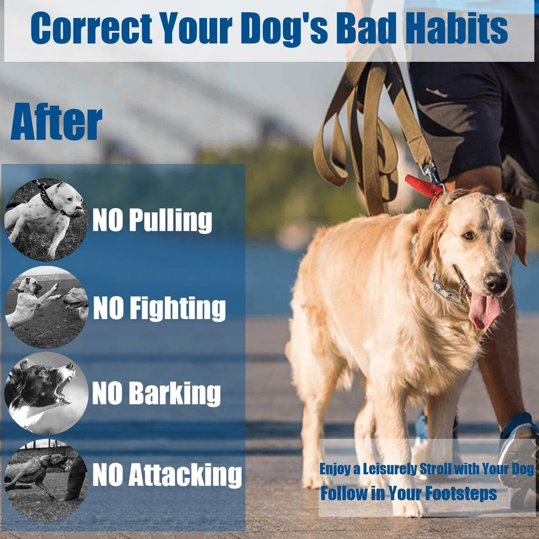 No Pull Dog Training Collar with Quick-Release Buckle for Dog,14-18"